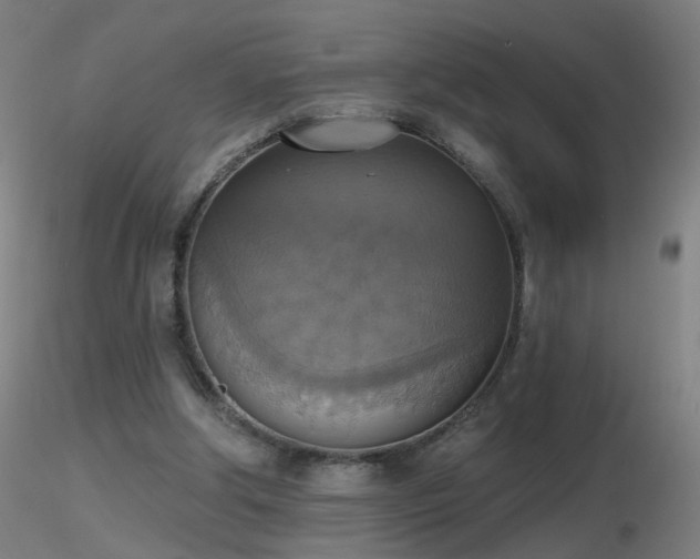 X0000116830202200912181442