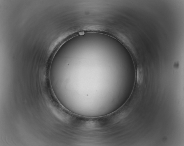 X0000116830204200912181442