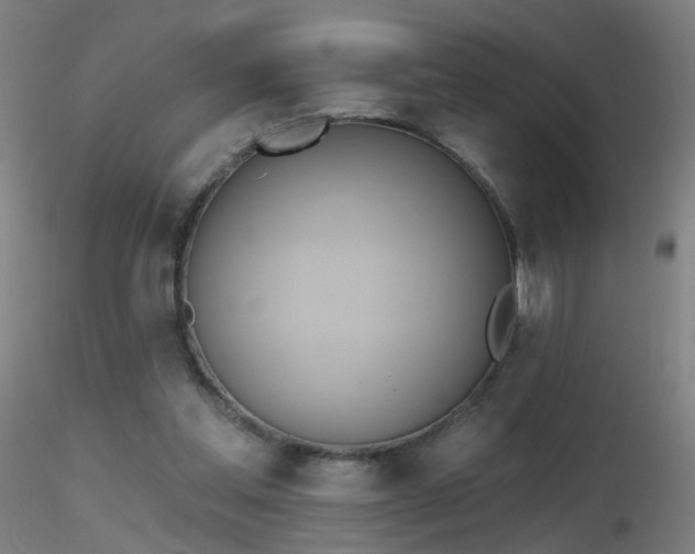 X0000116830205200912181442