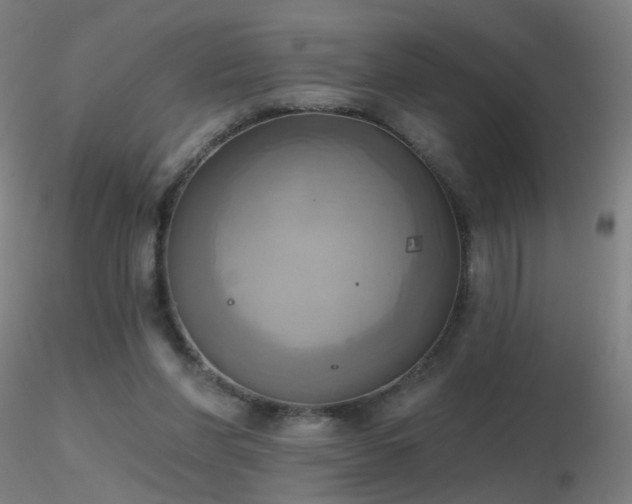 X0000116830206200912181442