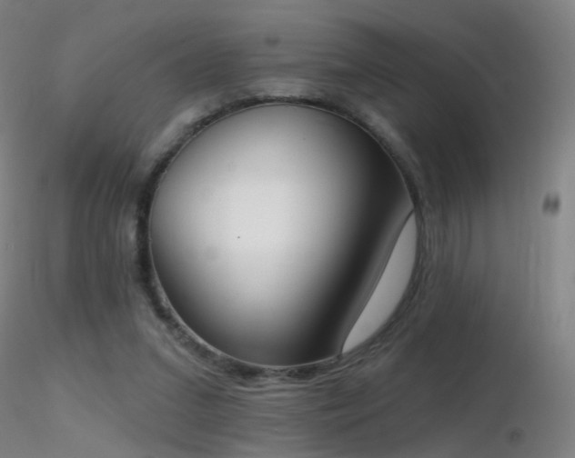X0000116830207200912181442