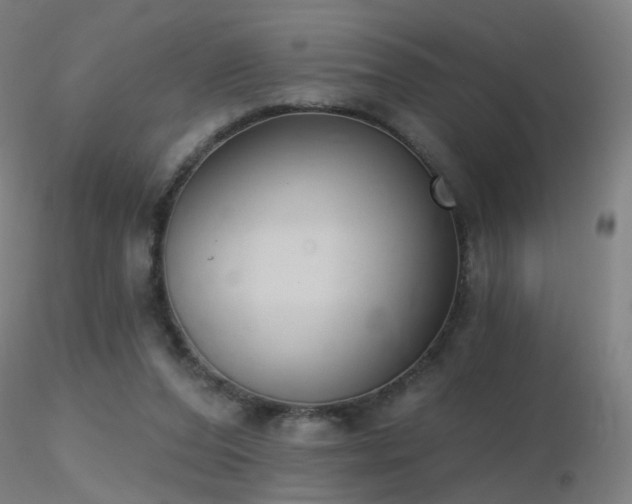 X0000116830208200912181442