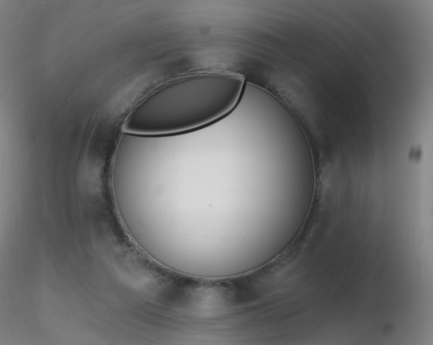 X0000116830209200912181442