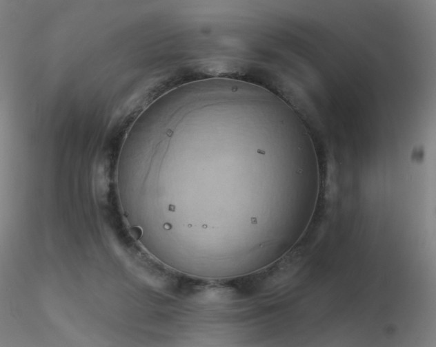 X0000116830210200912181442