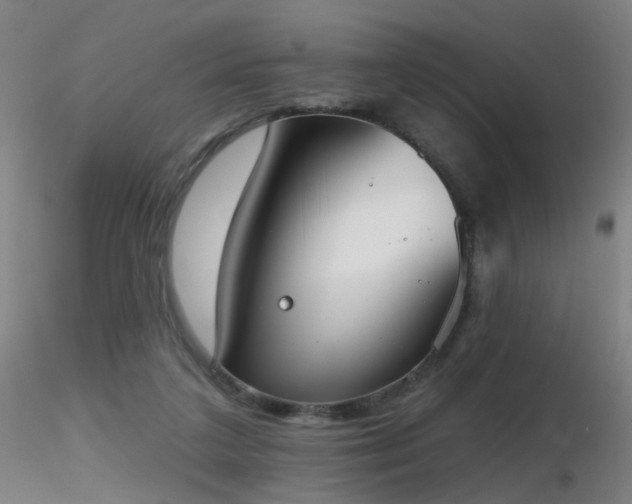 X0000116830211200912181442