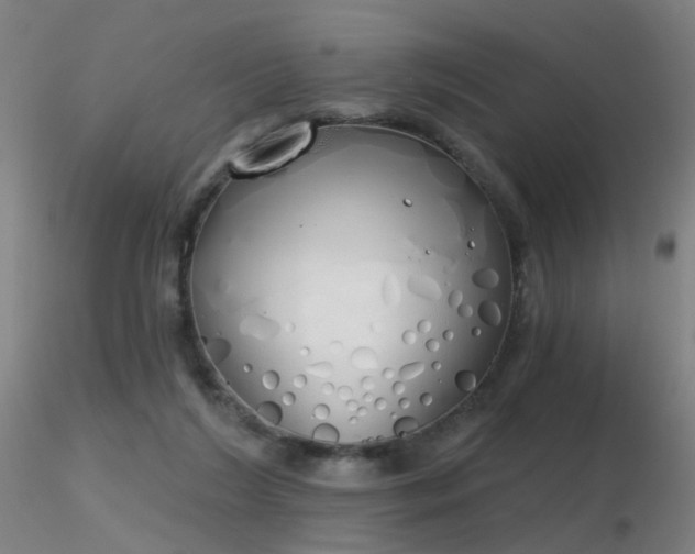 X0000116830212200912181442