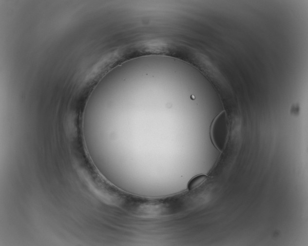 X0000116830213200912181442