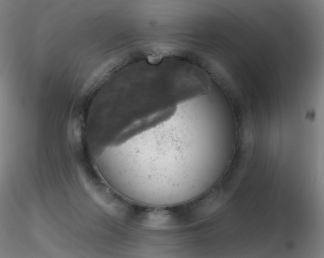 X0000116830214200912181442