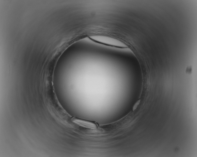 X0000116830215200912181442