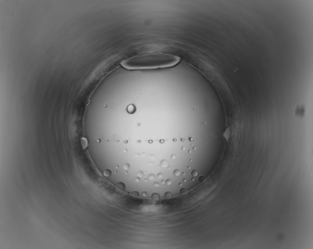 X0000116830216200912181442
