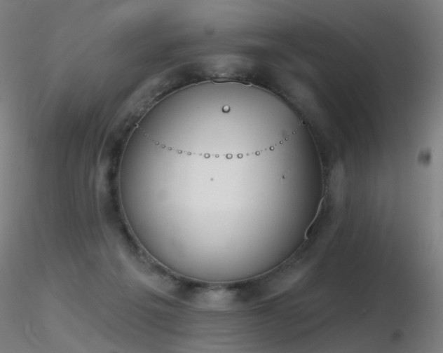 X0000116830217200912181442