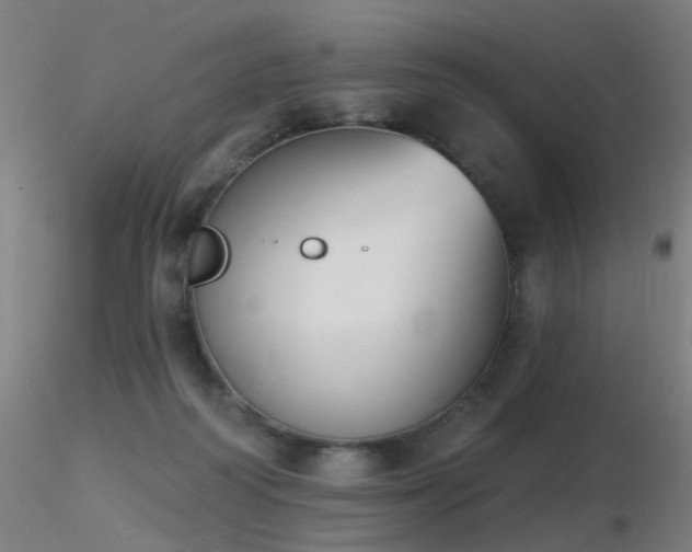 X0000116830218200912181442