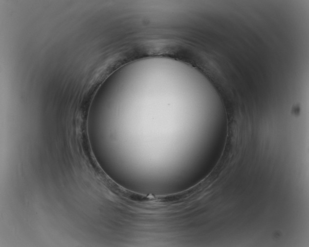 X0000116830219200912181442