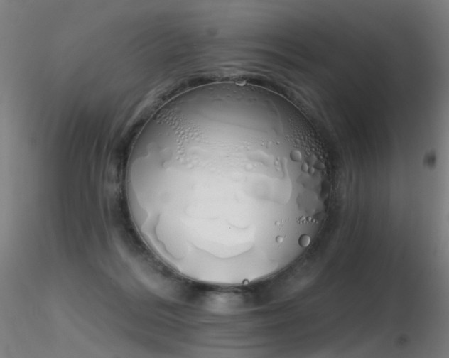 X0000116830220200912181442