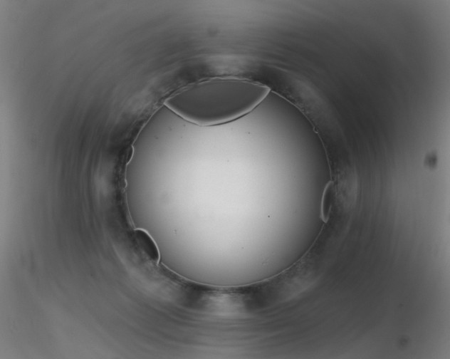 X0000116830221200912181442