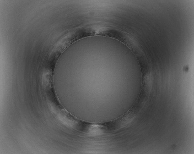 X0000116830222200912181442