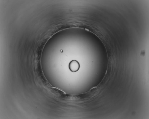 X0000116830223200912181442