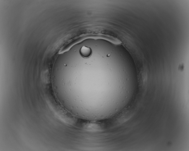 X0000116830224200912181442