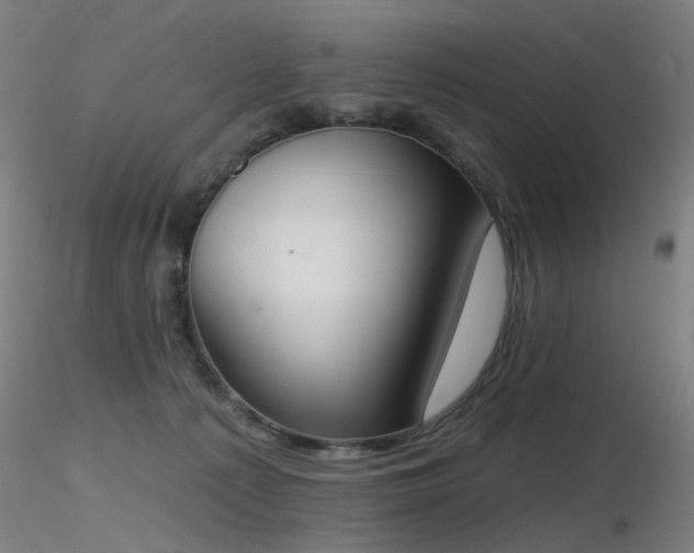 X0000116830225200912181441