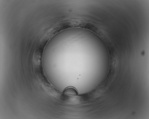 X0000116830226200912181441