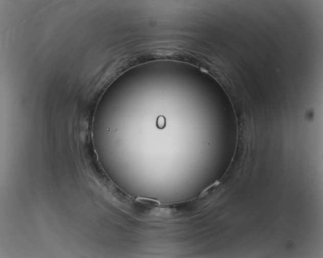 X0000116830227200912181441