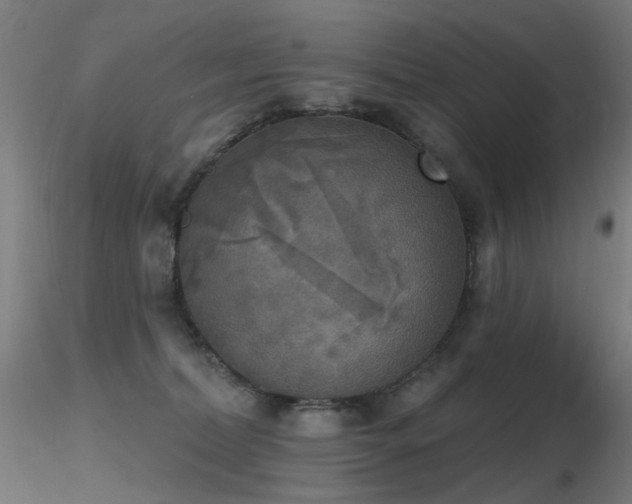 X0000116830228200912181441