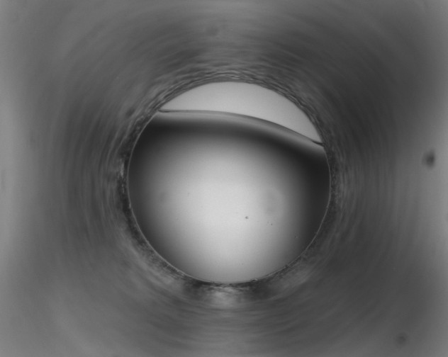 X0000116830229200912181441