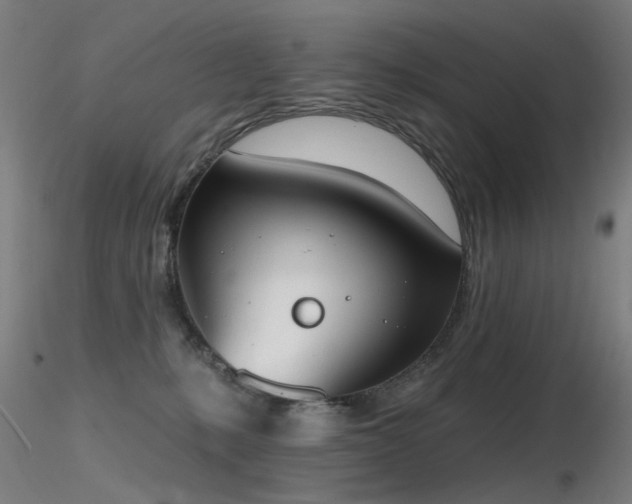 X0000116830231200912181441