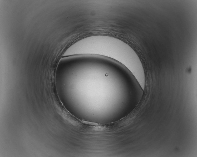 X0000116830233200912181441