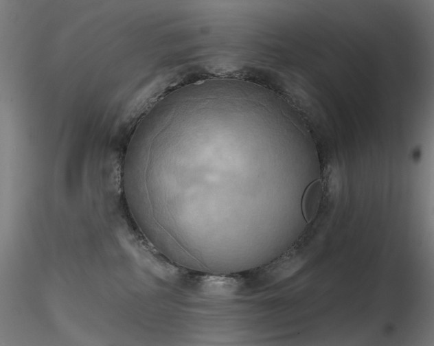 X0000116830234200912181441