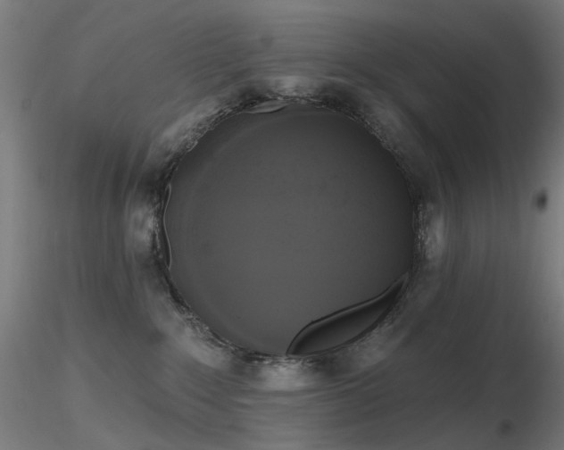 X0000116830235200912181441