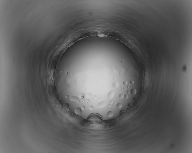 X0000116830236200912181441