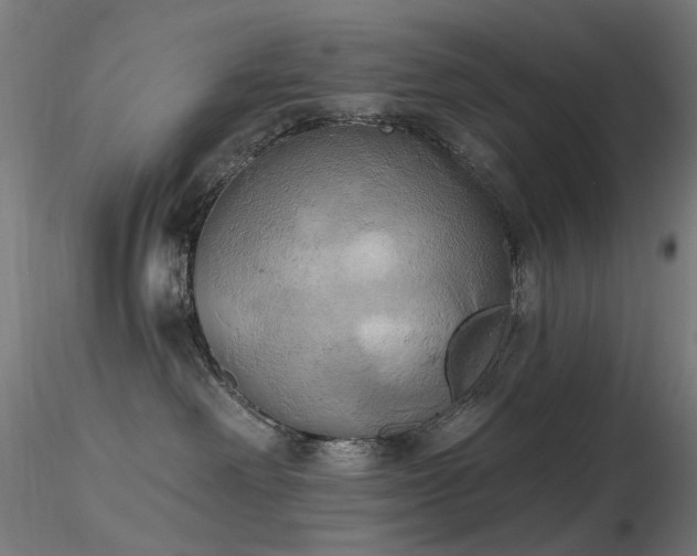 X0000116830238200912181441