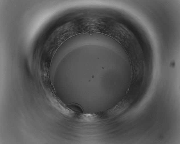 X0000116830239200912181441