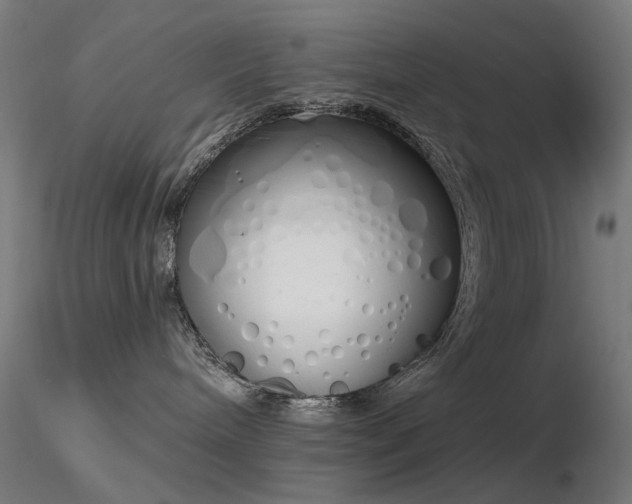 X0000116830240200912181441