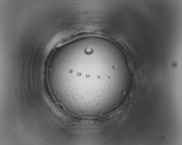 X0000116830242200912181440