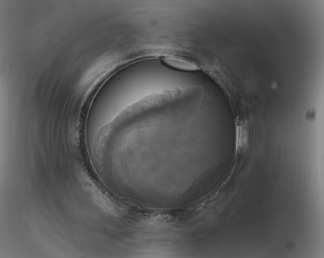 X0000116830243200912181440