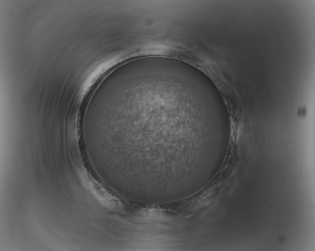 X0000116830244200912181440