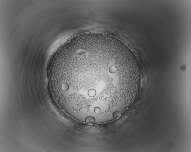 X0000116830245200912181441