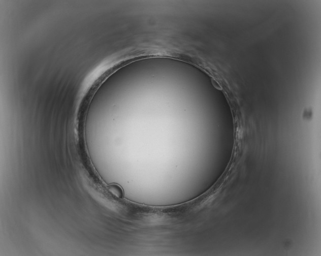 X0000116830246200912181441