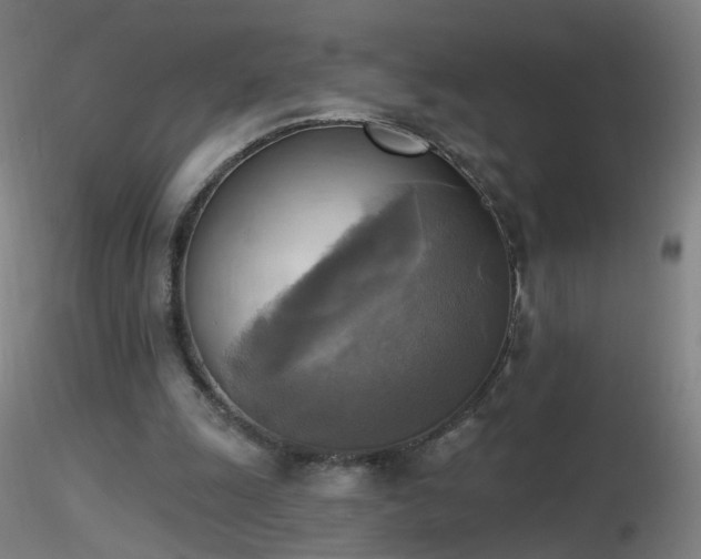 X0000116830247200912181441