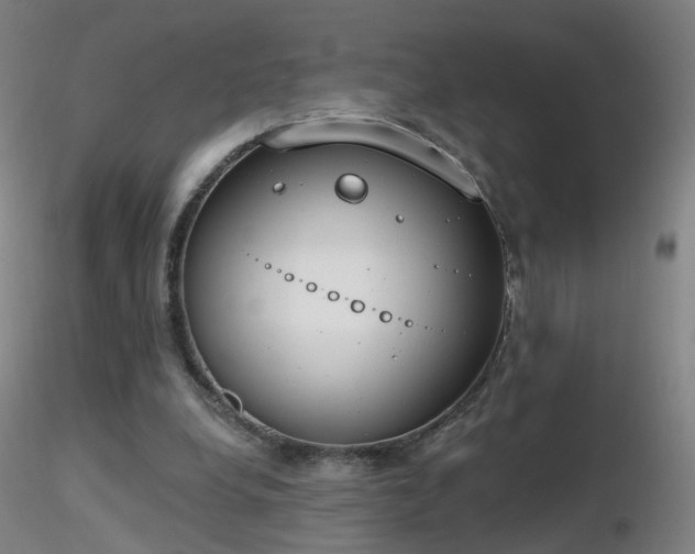 X0000116830248200912181441