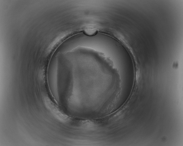 X0000116830249200912181441