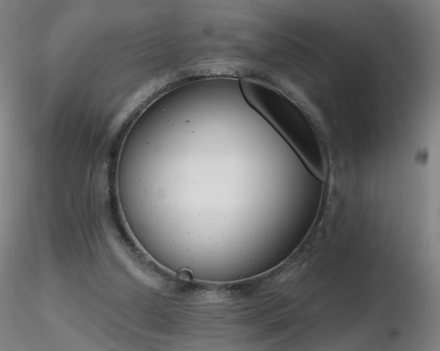X0000116830250200912181441