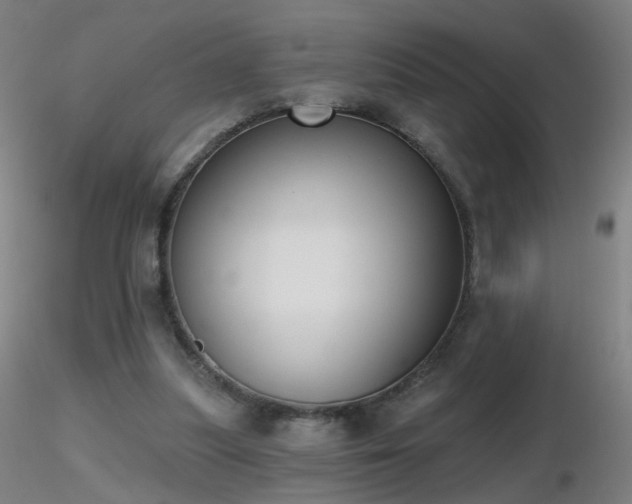 X0000116830251200912181441