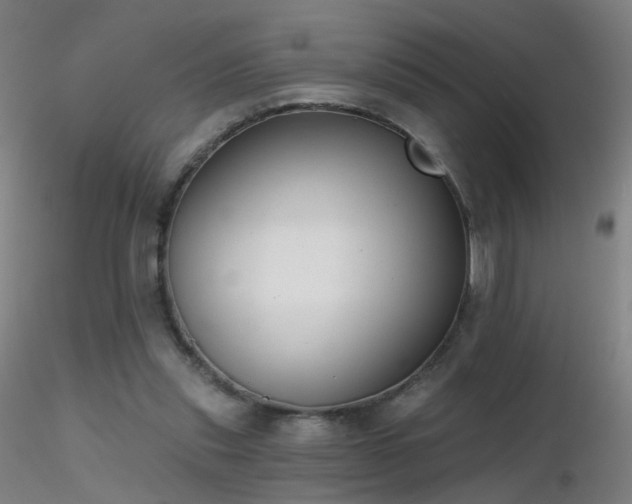 X0000116830253200912181441