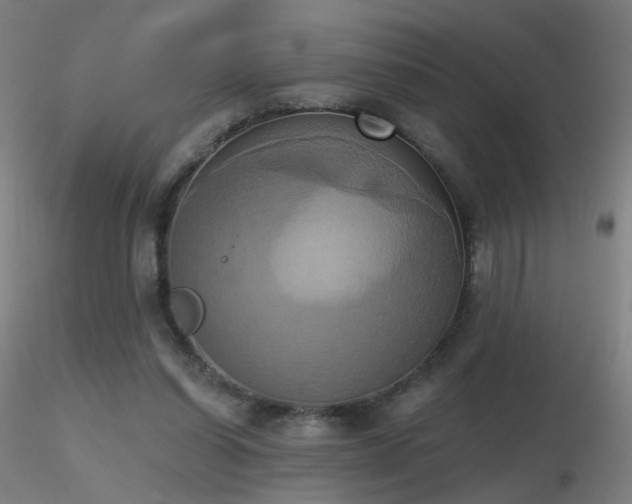 X0000116830254200912181441