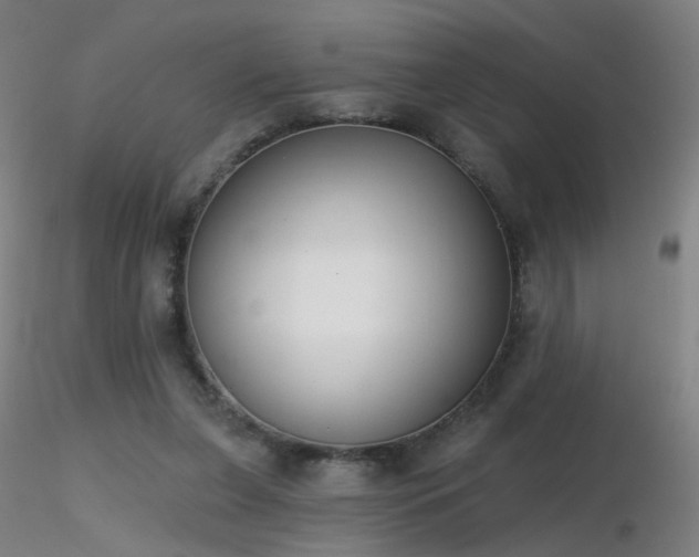 X0000116830255200912181441