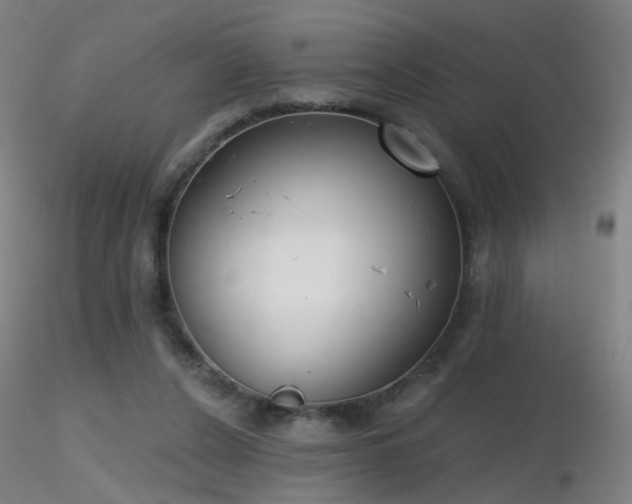 X0000116830256200912181441