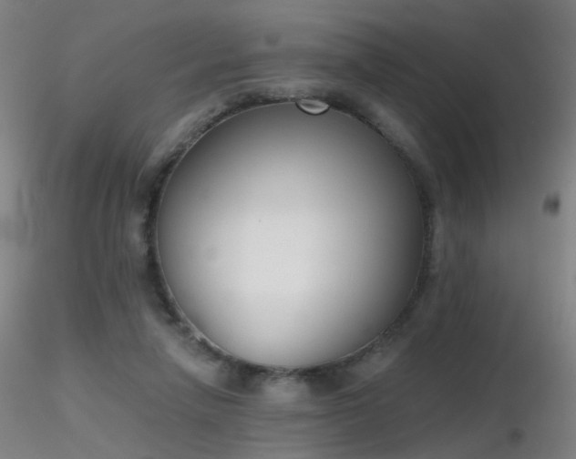 X0000116830258200912181441